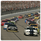 Cars For NASCAR Wallpaper icône