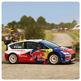 Rally Racing Car Wallpaper icône