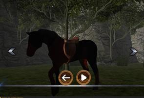 Horse Club screenshot 1