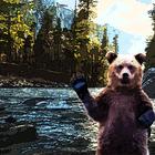 Медведь у реки icône