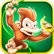 Monkey Jungle  Banana Kong Run