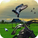 Pigeon Hunting 2018: Crossbow Birds Wings Shooting APK