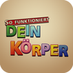 So Funktioniert Dein Körper