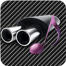 Torque Revz Car Sounds APK