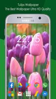 Tulips Wallpaper Ultra HD Quality screenshot 3