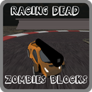 Survival Zombie Road Blocks APK