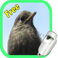 Whistle for Birds APK download