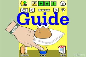 RP Guide for Pou Affiche