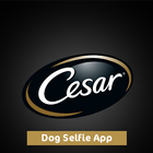 CESAR® SELFIE ícone