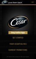 CESAR® SELFIE Cartaz