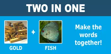 Two in one