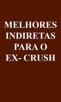 Indiretas Para o EX Affiche