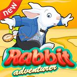 Mr Rabbit Adventures