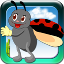 Bug Catch APK