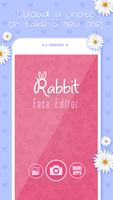 Rabbit Face পোস্টার