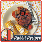 Rabbit Recipes icône