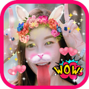 Selfie Funny Face For Snap Pro APK