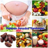 Panduan Menyuburkan Kandungan ảnh chụp màn hình 1