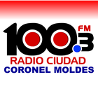 Radio Ciudad 100.3 C. Moldes icône