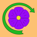 Flower Around 1 APK