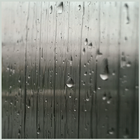 Rain In Photo icône