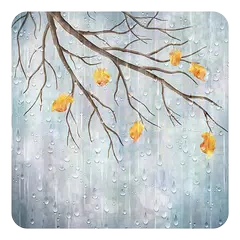 Rainy Day Live Wallpaper APK download