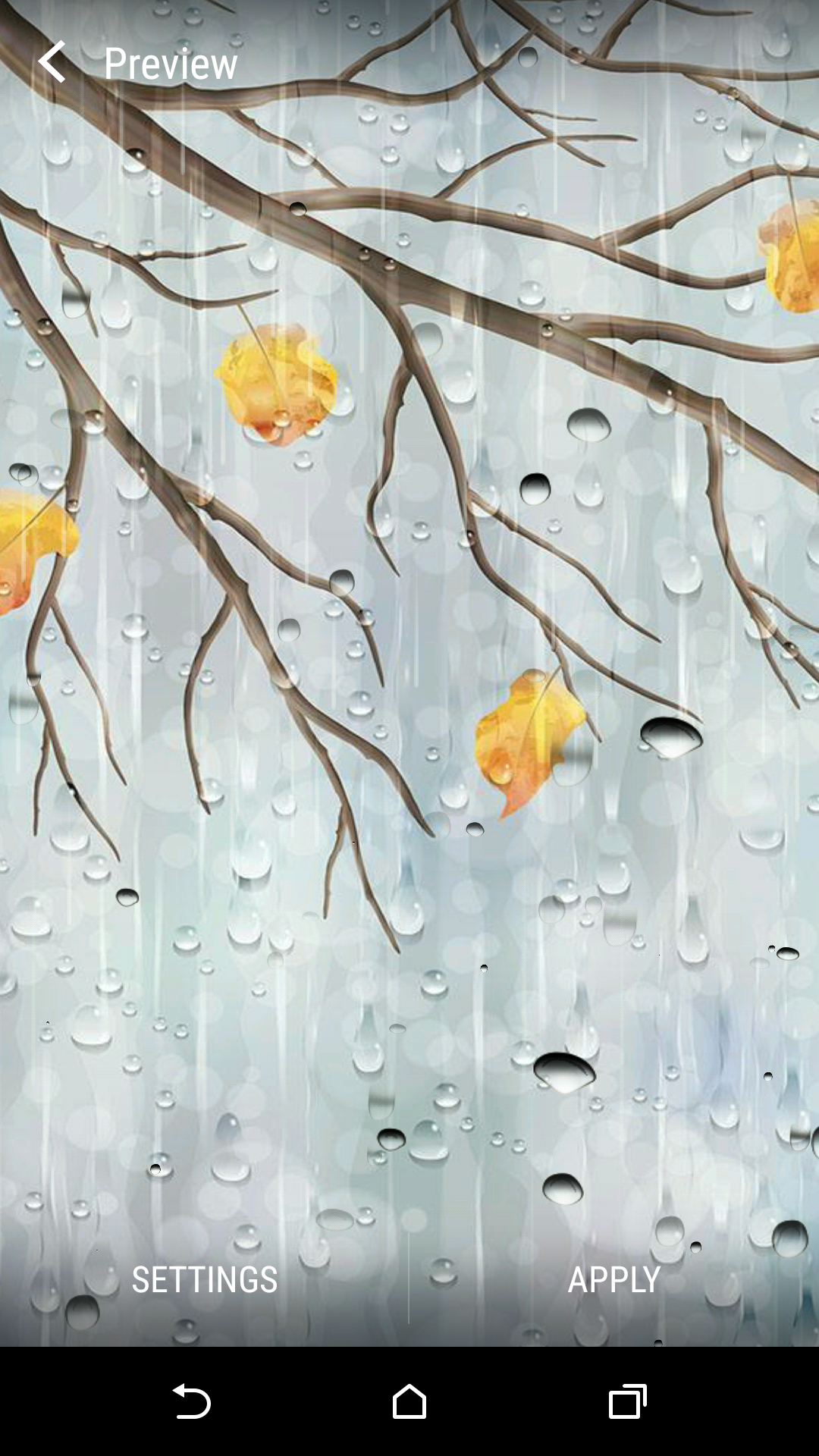 Rainy Day Live Wallpaper APK  for Android – Download Rainy Day Live  Wallpaper APK Latest Version from 