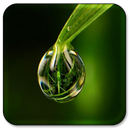 Rain Drops Live Wallpaper APK