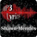 Shawn Mendes - There's Nothing Holdin' Me Back APK