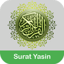 Surat Yasin Audio Terjemahan. APK