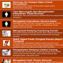 Ramuan Obat Herbal APK