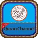 Quran Live  Channel APK