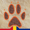 Rase de Caini APK