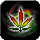 Rasta Wallpapers HD APK