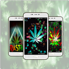Rasta Wallpaper ไอคอน