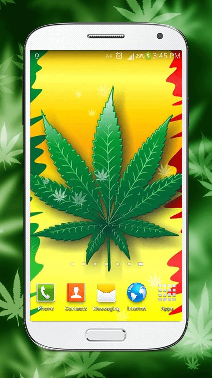 94 Gambar Animasi Rasta Terlihat Keren 94 Gambar Animasi Rasta Terlihat Keren