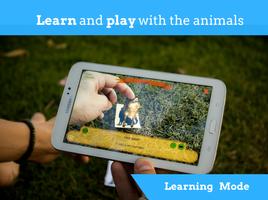 Animal Quiz Poster