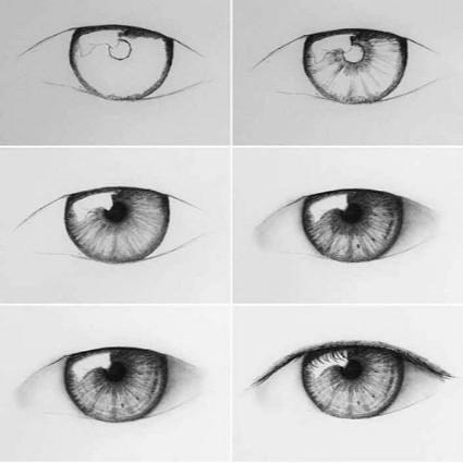 pix Realistic Drawings For Beginners download realistic drawing tutorial apk