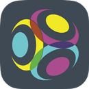 Insight eFSR APK