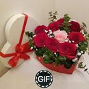 Rode bloemen afbeeldingen Gif-APK