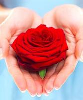 Red Flowers plakat