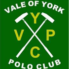V.Y.P.C icône