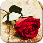 Red Rose Live Wallpaper آئیکن