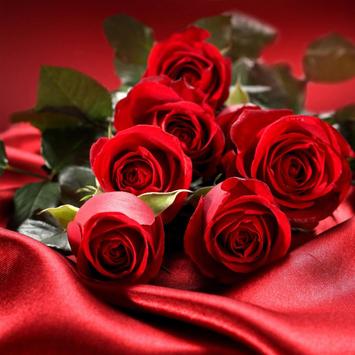 Wallpaper Bunga Mawar Merah<br/>