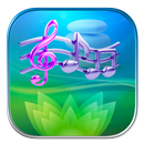 Relaxing Music For Massage And Spa APK
