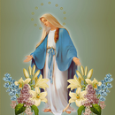 Catholic Teaching: Virgin Mary APK