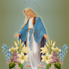 Catholic Teaching: Virgin Mary icône