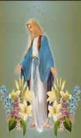Catholic Teaching: Virgin Mary capture d'écran 1