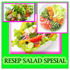 Special Salad Recipe icône