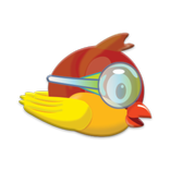 Bad Birdies